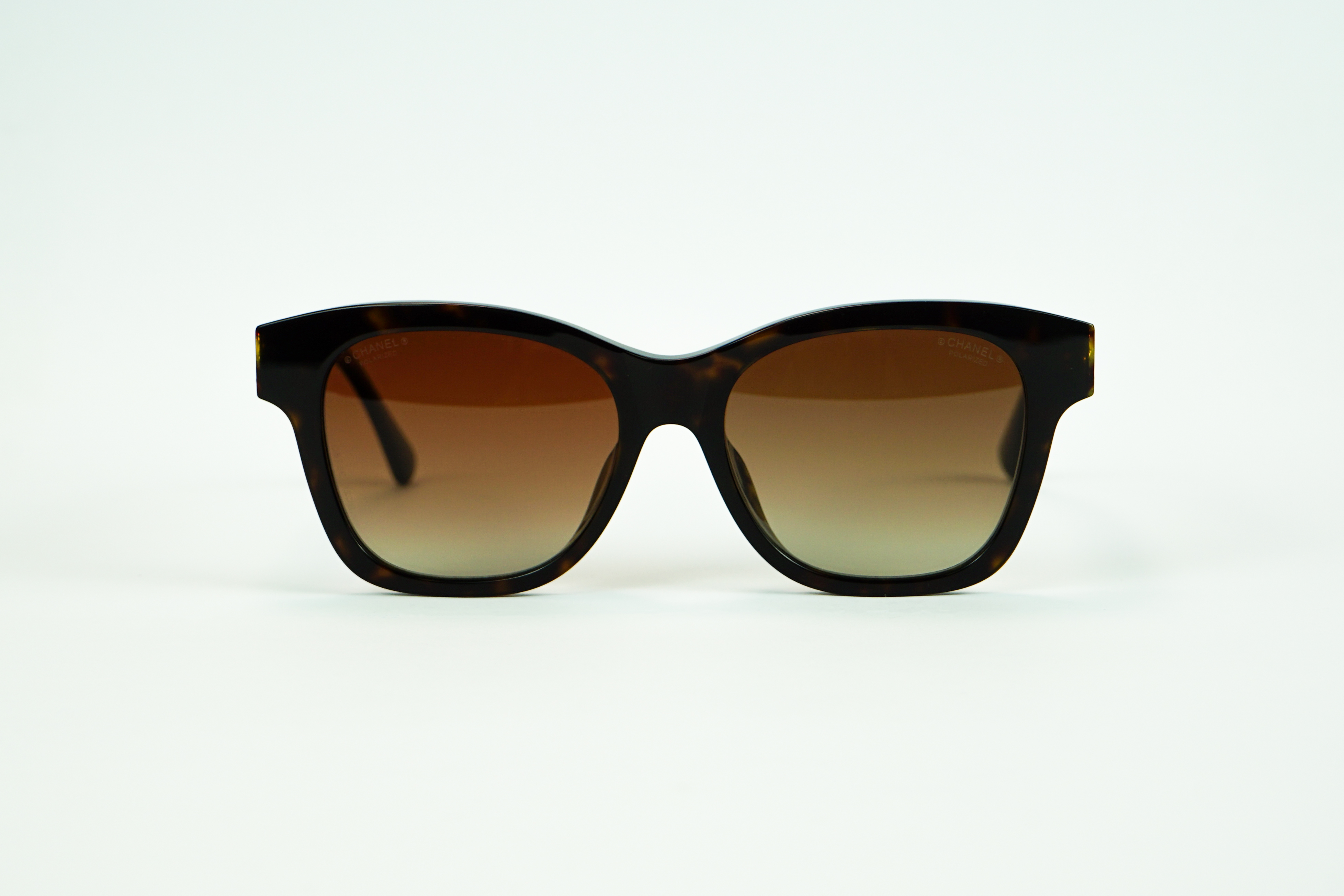 Brown Carey Acetate Sunglasses