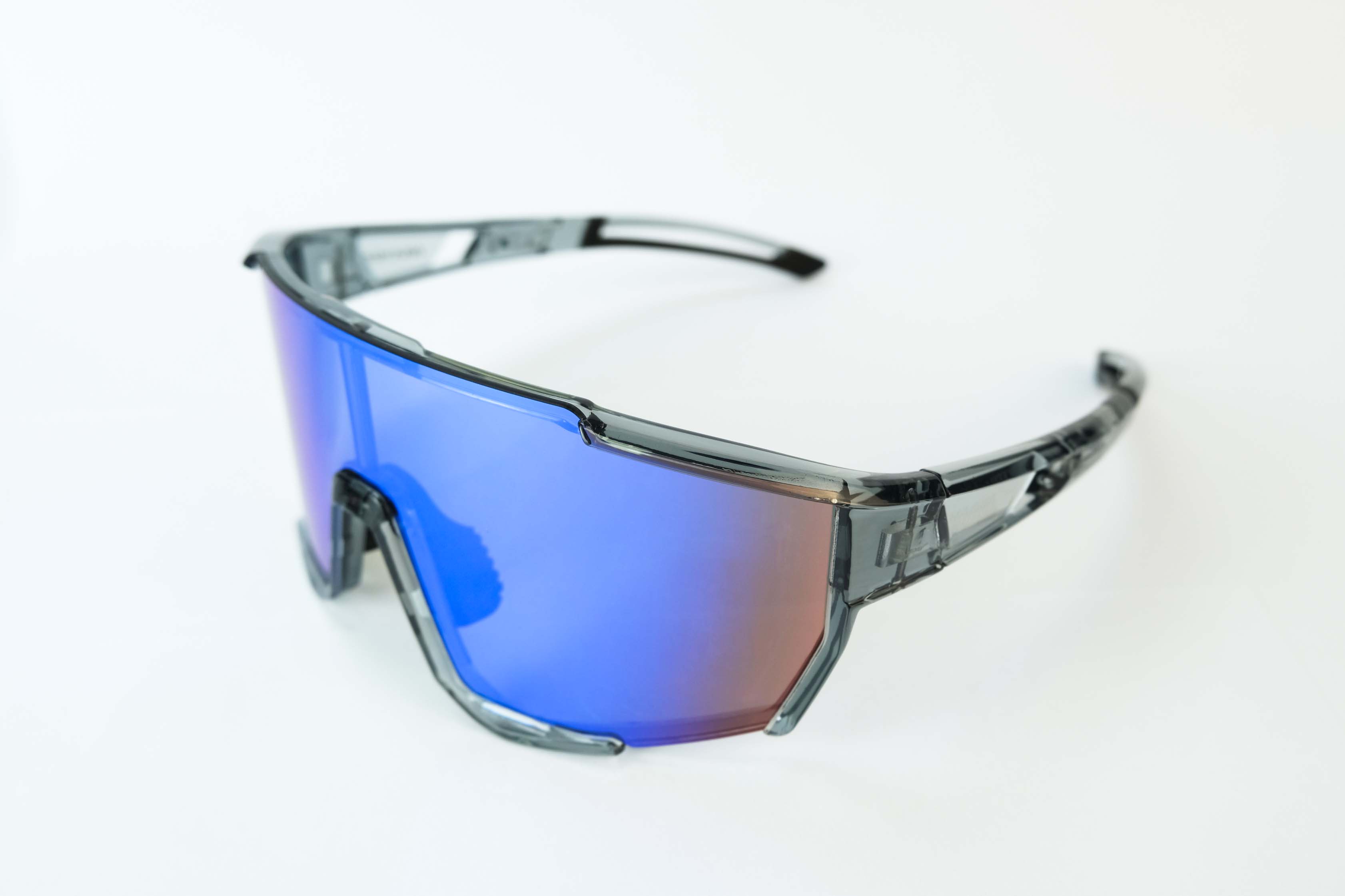 Grey Ski Goggles